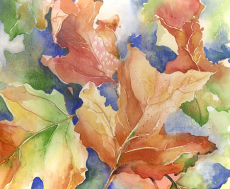 Kim Solga - Paintings Botanicals Flowers watercolors